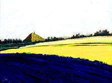 Texel Bulb Fields