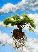 Liberated Bonsai